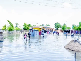 Flood: Ex-Senate President, Lawan tasks NEMA on provision of relief materials to victims in Yobe