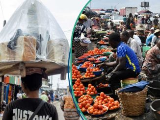 New Data Shows 10 Most Affordable States To Live in Nigeria As Fish, Meat, Other Items Prices Drop