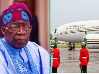 Presidency Speaks on Gains of Tinubu’s New Jet: “Will Save Nigeria Millions of Dollars”