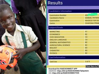 WAEC 2024 Result of Girl Who Got 237 in UTME Surfaces Online, Causes Commotion