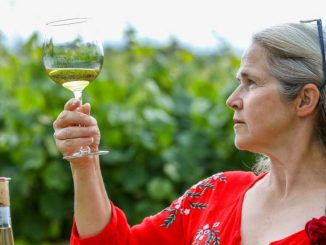 Climate change a mixed blessing for sun-starved Irish vintners