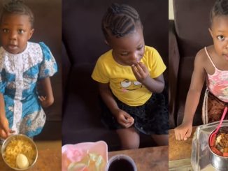 Little girl mǝlts heart as she praises her aunt for feeding her sumptuous meals daily (WATCH)