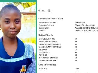 JAMB: Benue Girl Who Scored 356 Passes 2024 WAEC With A1 in 4 Subjects, Including Mathematics