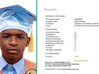 WAEC Candidate Performs Excellently in Technical Drawing, Scores A1 in Further Mathematics