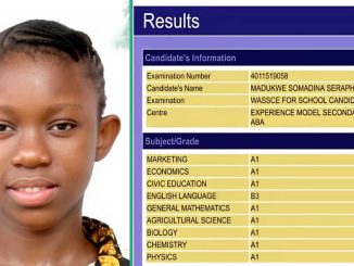 WAEC Result of Girl Who Wants to Study Medicine At University Trends Online Due to Her Performance