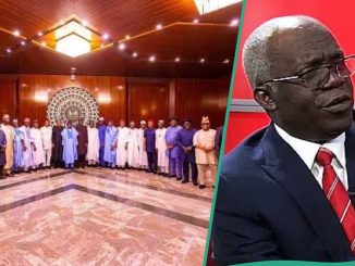 "How 36 Governors Handed Over Their Constitutional Power to FG": Falana on Fire