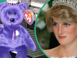 How much is a Princess Diana Beanie Baby worth? Here is how to tell