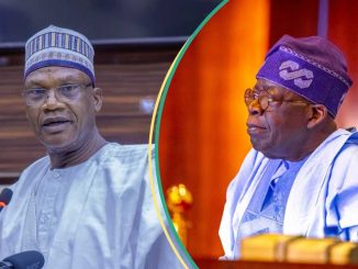 "Stop Mamman": APC Bigwig Sends Strong Message to Tinubu Over Ban on Under 18 From Taking WAEC, NECO