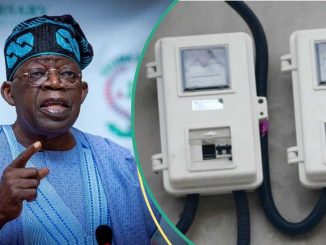 "You Will Not Feel it at All": FG Introduces 10-year Repayment Plan for Prepaid Meters