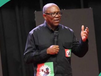 Ondo Guber Election: Peter Obi’s Reconciliation Fails As 2 Labour Party Candidates Emerge