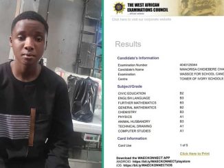 WAEC 2024: Result of Boy in Science Class Surfaces Online, Amazes Many Nigerians