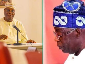 Full List: Tinubu, Atiku, Obi, Other Politicians with 2027 Presidential Campaign Posters