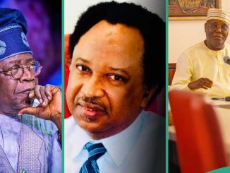 Tinubu, Atiku, Jonathan, Obi: Shehu Sani Unveils Region 2027 Presidency Should Be Zoned To