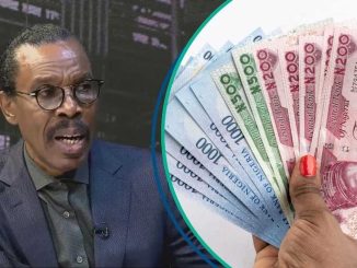 Windfall Tax: Policy is a Win-Win For Social Good, Bismark Rewane Says