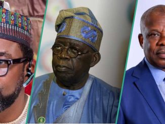 Presidential Jets: "Amosun Must be Investigated": HEDA Sends Strong Message to Tinubu