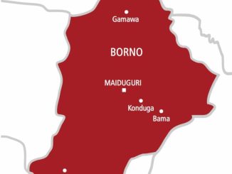 13 Borno LGAs In Darkness Over Insurgency, Vandalism