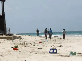 32 killed in Somali beach explosion