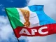 APC logo flag