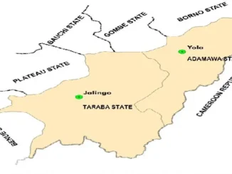 Adamawa intensifies surveillance after cattle disease outbreak in neighbouring Taraba