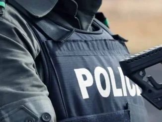 Bauchi: Police arrest 20-year-old for armed robbery