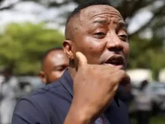 Bolt fight: Stop bullying South Africans - Sowore urges Nigerians