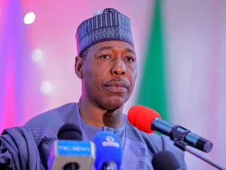 Borno: 95% of protesters less than 14 years – Gov Zulum