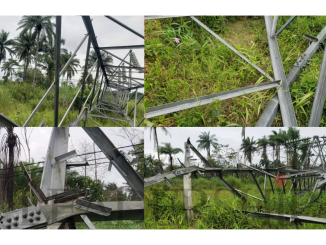 Darkness Looms As Vandals Destroy 13 Towers On Rivers-Bayelsa 132KV Transmission Line