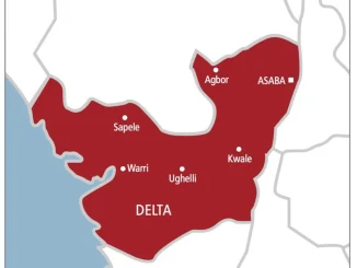 Delta: Protesters urged to exercise caution on Day-2