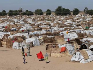 FG Launches New Empowerment Project For IDPs