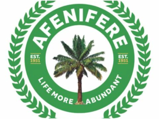 Federal Gov’t Needs To Do More About Insecurity — Afenifere  