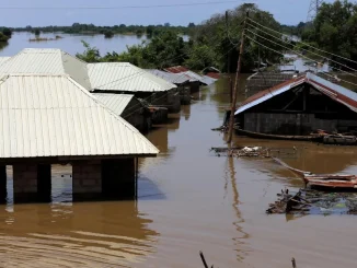 Four dead as flood wreaks havoc in Bauchi