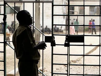 Gombe CJ frees 185 prison inmates