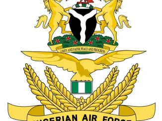 NAF airstrikes eliminate several terrorists near Lake Chad