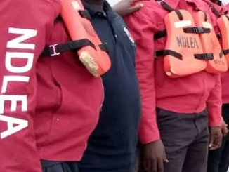 NDLEA intercepts 60 bags of Ghanaian 'Loud', others in Lagos