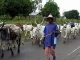 Ogun Govt warns herdsmen against encroachment on forest reserves