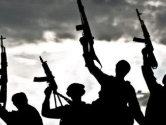 Terrorists Abandon 6 Grenades In Borno