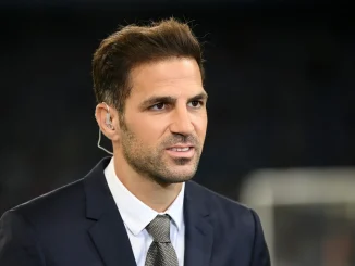 Transfer: I'm a big fan of him - Fabregas' reaction to Arsenal star's exit