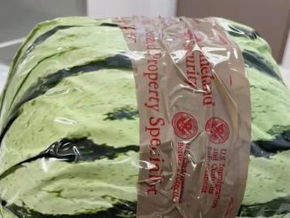 US Customs Discovers $5m Meth Disguised As Watermelon Shipment