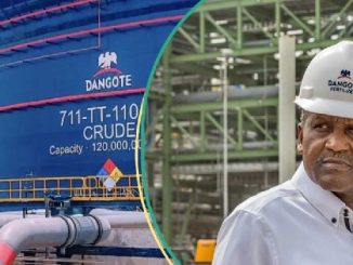 Dangote Refinery Among Top Diesel, Jet Fuel Suppliers That Will Disrupt Europe’s Oil $ Gas Industry - OPEC