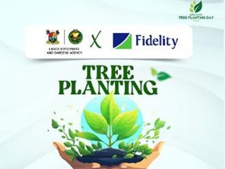 Fidelity Bank Partners Lagos State to Plant 20,000 Trees