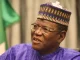 Buhari didn't want Tinubu as President, never trusted Osinbajo - Sule Lamido