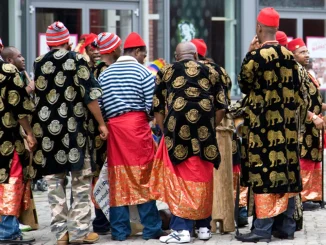 Ajaokuta Steel: Ohanaeze youths demand thorough probe of employment, salary structure