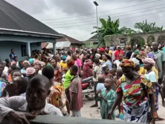 Indigenes mobilise, chase away herdsmen from community farms, forest in Delta