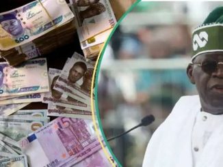 Naira Records Gain Against US Dollar As FX Turnover Increases