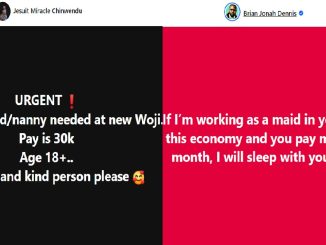 “Pay me 30k as a maid and I will sleep with your husband” – Influencer responds to the viral job posting