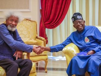 Wole Soyinka Knocks President Tinubu Over Nationwide Speech Amid Hunger Protest