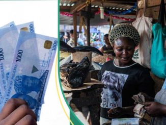 Report: Nigeria Tops List of Countries With Most Cash Dominant Economy in 2023 in the world