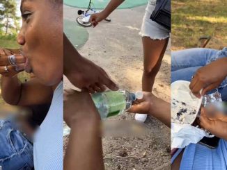 "She Dey chop am like fufu" – Tongue wags as yo"She Dey chop am like fufu" – Tongue wags as a young lady and friends devour ice cream using bare hands (VIDEO)ung lady and friends' devours ice cream barehanded (VIDEO)