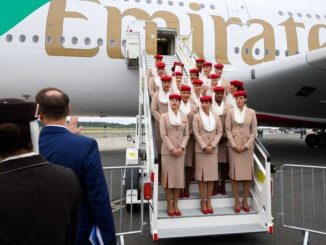 Travel Agents React as Emirates Airlines Begins Sale of Tickets in Dollars