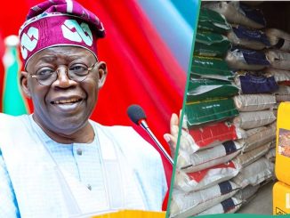 No More N80k: Jubilation As Tinubu Crashes Price of Rice for Nigerian Workers